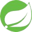 Springboot